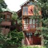 Sycamore Ave Treehouse Lodge and Guesthouse, South Africa, Mooi River